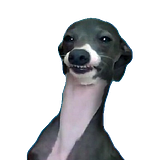 mero master