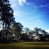 The Life Adviser Blog.