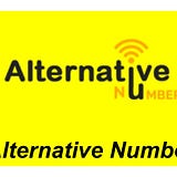 Alternative Number