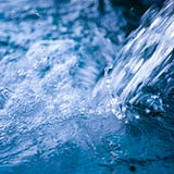 the pertinence of everything