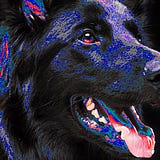 woofwoof.VAMNRAM