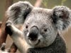 LookUponMyWorks