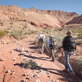 Dispatches from rural America: Locals speak about Trump’s public lands review