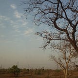 Shivanitiwari