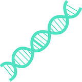 NF2 Project