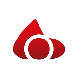 BBD software