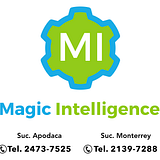 Magic Intelligence