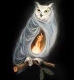 Bonfires of the Sanities