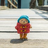 傻仔熊遊世界