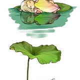 Jing Fei