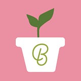 Beginner Podcast