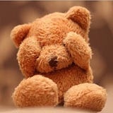 Graciliana Teddy Bear
