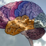 The Raspy Brain Productions