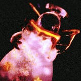 風切り羽 - Flight feather -