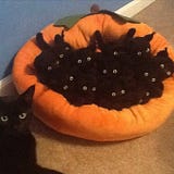 аТiКurrаНМаn