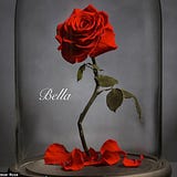 Belle D.