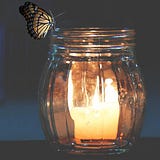 The Fragile Receptacle