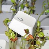 How to bring nature into your digital world