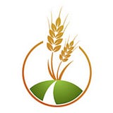 Jordplan AS