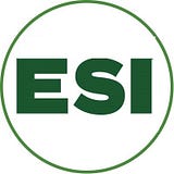 Econsult Solutions