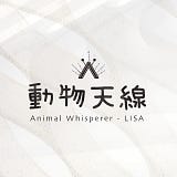 動物天線 Animal whisperer ｜LISA