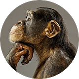 ImmanuelTolstoyevski