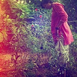 Shradha Shreejaya