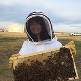 North Country Honey