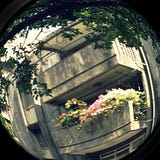 給極在乎我以及我不在乎的