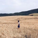 HUA知花