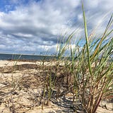 It’s Just My Opinion