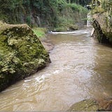 eco-hydrology and engineering geology
