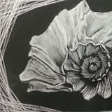 tianyechen_portfolio