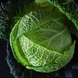 Joshua Cabbage