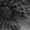 All is Web