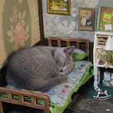 suраndi wiНаrjа