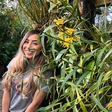 Anissa Campa