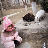 Jiaxin Li Dani