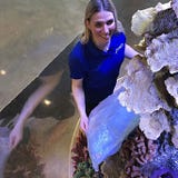 Aquarium Artisans - Cincinnati
