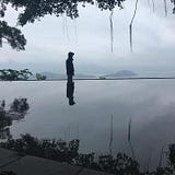 Fog Chen