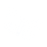 Tutorfly