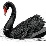 seyhachheng