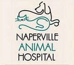 NapervilleAnimalHospital