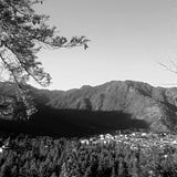 Dorjee Wangchuk