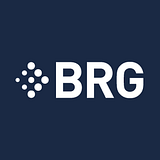 Berkeley Research Group: ThinkBRG