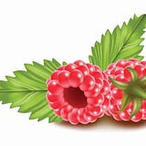 Pastile de Slabit