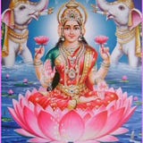 Lakshmi Rode