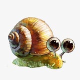 Snail