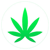 Cannabis v. USA