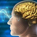 Prof Dr Semih Keskil